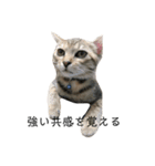 お返事ねこ[キナコ]（個別スタンプ：8）