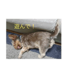 Jeremy0220（個別スタンプ：4）