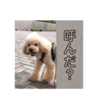 まっくのスタンプ（個別スタンプ：6）