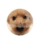 まっくのスタンプ（個別スタンプ：24）