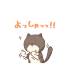 ねこちゃんズスタンプ（個別スタンプ：37）