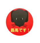 黒ラブ犬「ちゃま」4（個別スタンプ：1）