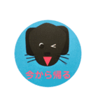 黒ラブ犬「ちゃま」4（個別スタンプ：9）