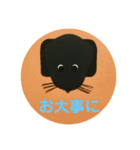 黒ラブ犬「ちゃま」4（個別スタンプ：16）