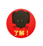 黒ラブ犬「ちゃま」5（個別スタンプ：1）