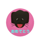 黒ラブ犬「ちゃま」5（個別スタンプ：2）