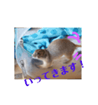 僕、テソロ。～もふもふ族 -2～（個別スタンプ：5）