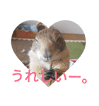 僕、テソロ。～もふもふ族 -2～（個別スタンプ：8）