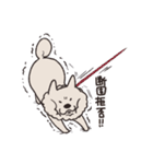 むなげ犬ちゃむさん（個別スタンプ：7）