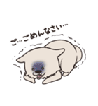 むなげ犬ちゃむさん（個別スタンプ：10）