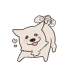 むなげ犬ちゃむさん（個別スタンプ：16）