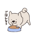 むなげ犬ちゃむさん（個別スタンプ：23）