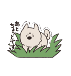 むなげ犬ちゃむさん（個別スタンプ：28）