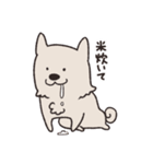 むなげ犬ちゃむさん（個別スタンプ：36）