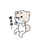 柴犬『さくら』（個別スタンプ：1）