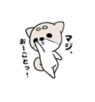 柴犬『さくら』（個別スタンプ：4）