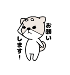 柴犬『さくら』（個別スタンプ：5）