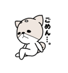 柴犬『さくら』（個別スタンプ：6）