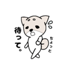 柴犬『さくら』（個別スタンプ：7）