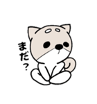 柴犬『さくら』（個別スタンプ：9）