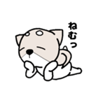 柴犬『さくら』（個別スタンプ：11）