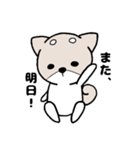 柴犬『さくら』（個別スタンプ：12）