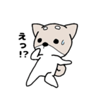 柴犬『さくら』（個別スタンプ：13）