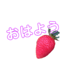 苺シリーズ（個別スタンプ：1）