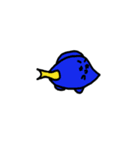 uchumin〜海水魚〜（個別スタンプ：1）