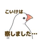 【こいけ専用】文鳥さんスタンプ（個別スタンプ：37）