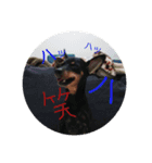 リオコロ第一弾（個別スタンプ：7）