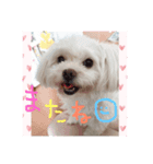 かわいいココア（個別スタンプ：6）