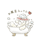 おしゃれプードルバニラ（個別スタンプ：10）