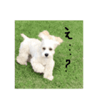 エブリデーモンちゃん。（個別スタンプ：11）