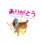 ムギの日常（個別スタンプ：3）
