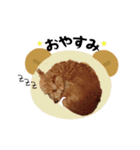 ムギの日常（個別スタンプ：7）