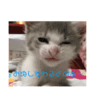 ゆるっときな子②（個別スタンプ：2）