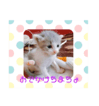 ゆるっときな子②（個別スタンプ：4）