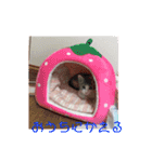 ゆるっときな子②（個別スタンプ：10）