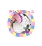 ゆるっときな子②（個別スタンプ：14）