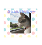 ゆるっときな子②（個別スタンプ：15）