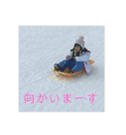 はなちゃんのスタンプだよ（個別スタンプ：15）