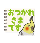 オカメインコ ピーちゃん Vol.6#デカ文字（個別スタンプ：3）