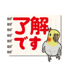 オカメインコ ピーちゃん Vol.6#デカ文字（個別スタンプ：5）