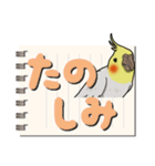 オカメインコ ピーちゃん Vol.6#デカ文字（個別スタンプ：32）