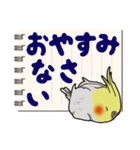 オカメインコ ピーちゃん Vol.6#デカ文字（個別スタンプ：39）
