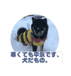 黒柴さん、ときどき和猫さん（個別スタンプ：9）