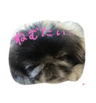 てつぼっくりの子供たち（個別スタンプ：2）