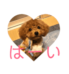 うりスタ vol.1（個別スタンプ：3）
