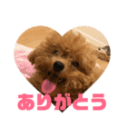 うりスタ vol.1（個別スタンプ：6）